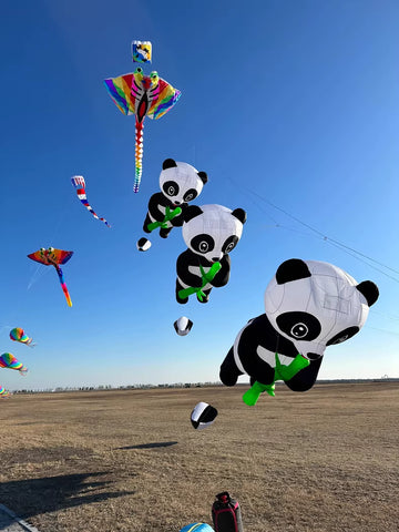 panda