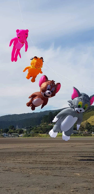 Cat and Mouse, Garfield, Pink Panther 8m