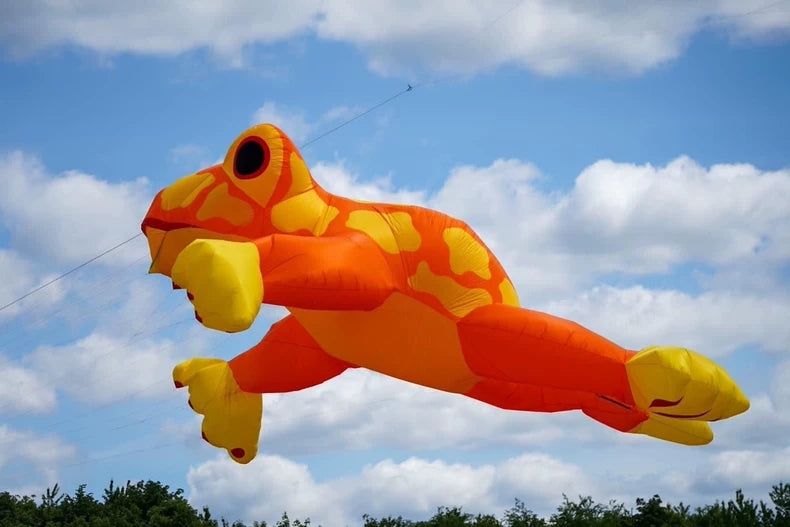 frog 15m