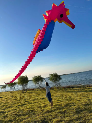 seahorse 10m