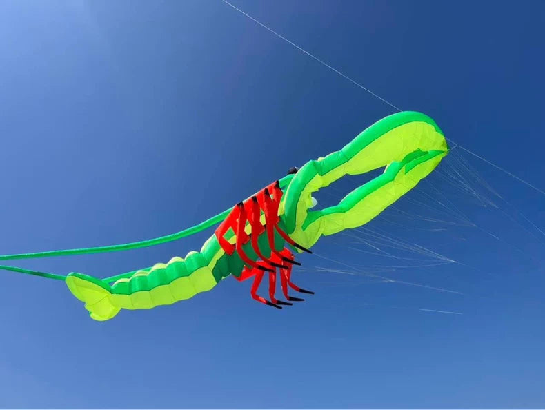 Lobster 7m