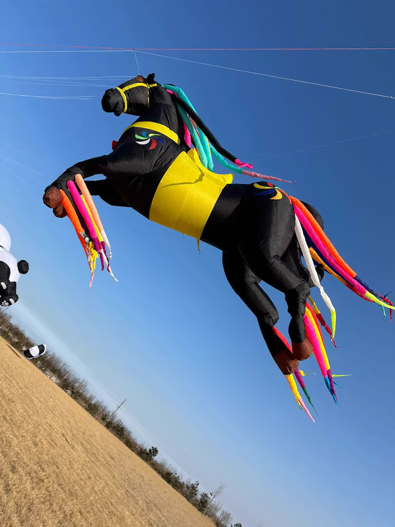 horse 5m
