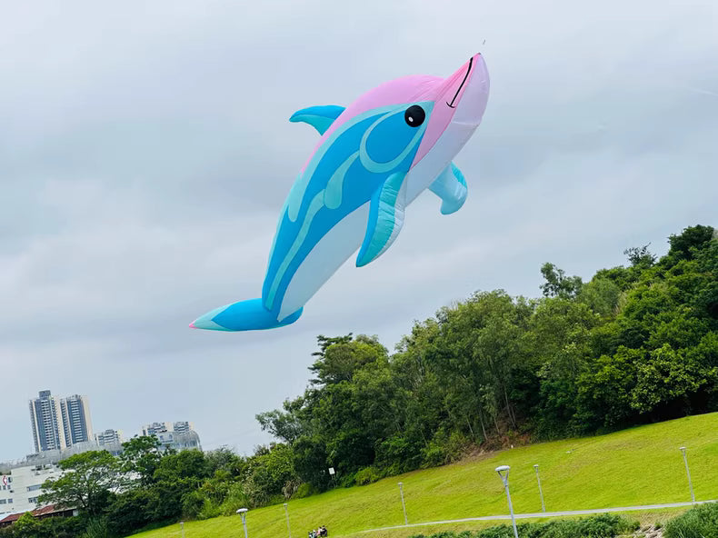 dolphin 10m