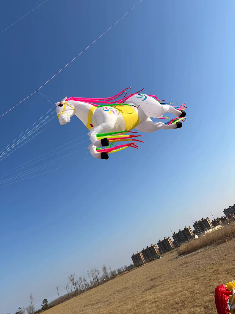 horse 5m