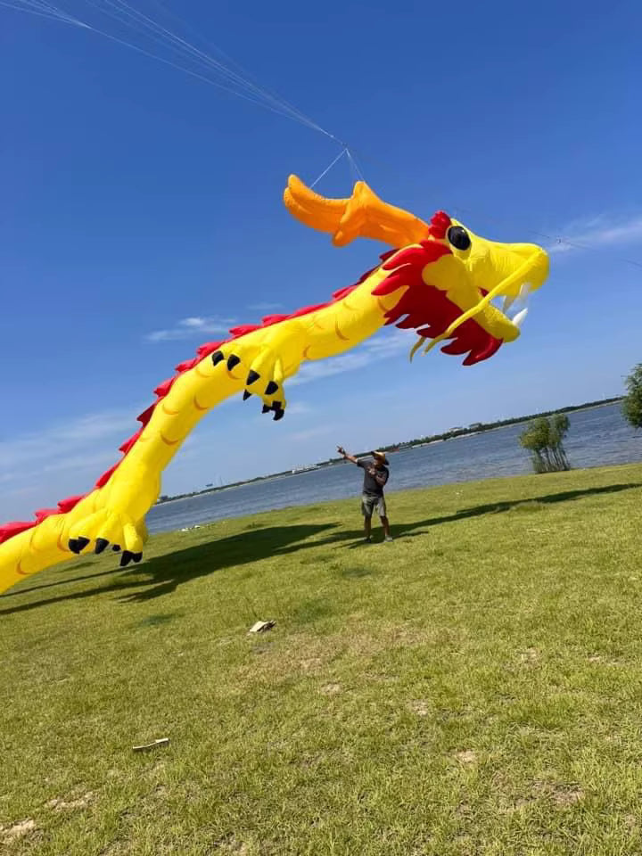 dragon 18m