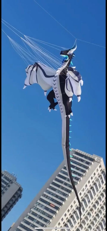 Pterosaur 16m