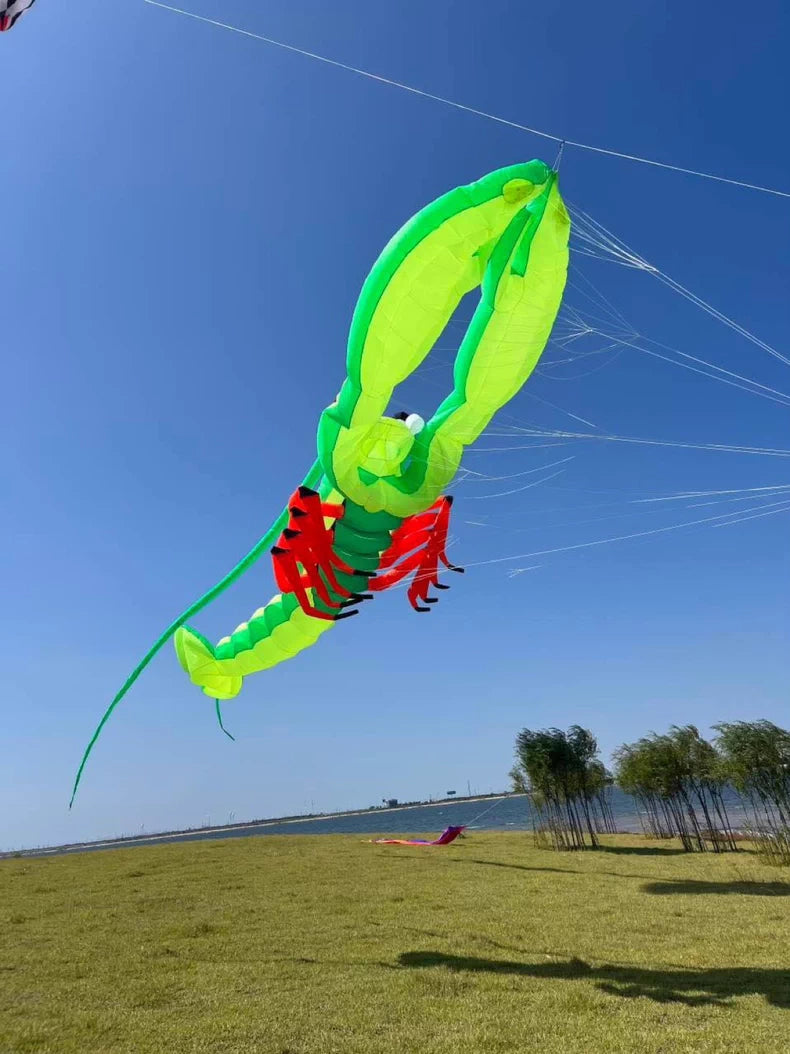 Lobster 7m