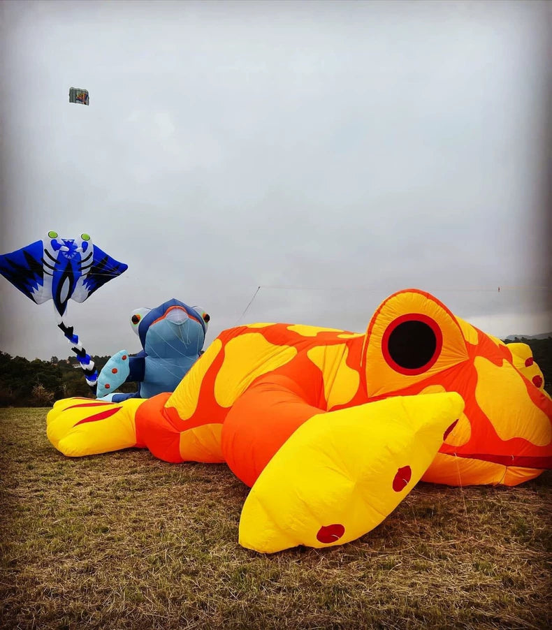 frog 15m