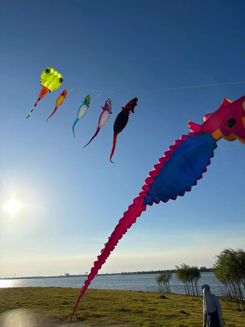 seahorse 10m