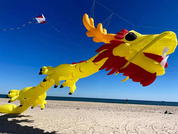dragon 18m