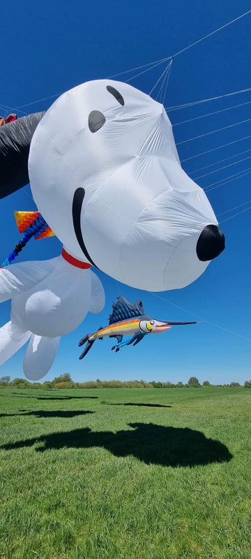 Snoopy dog 12m