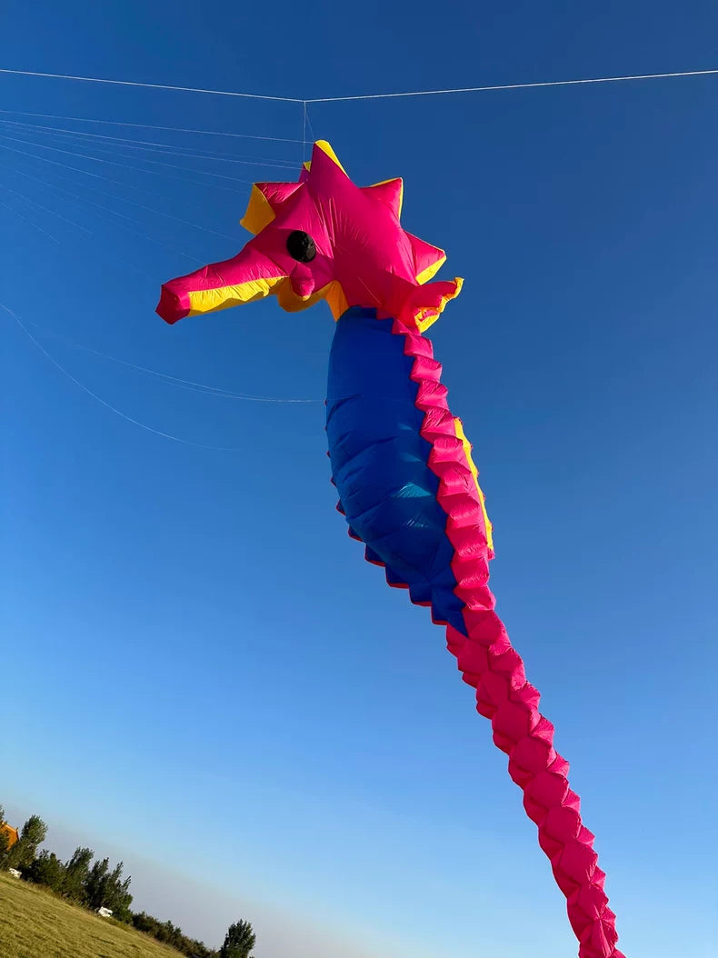 seahorse 10m