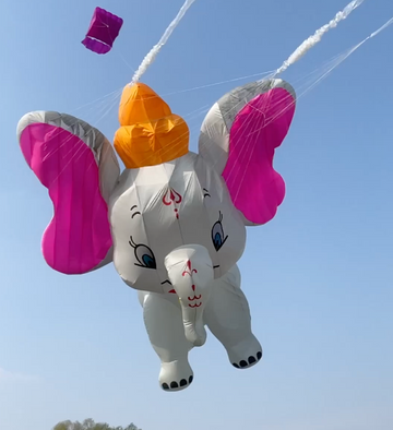 elephant 10m