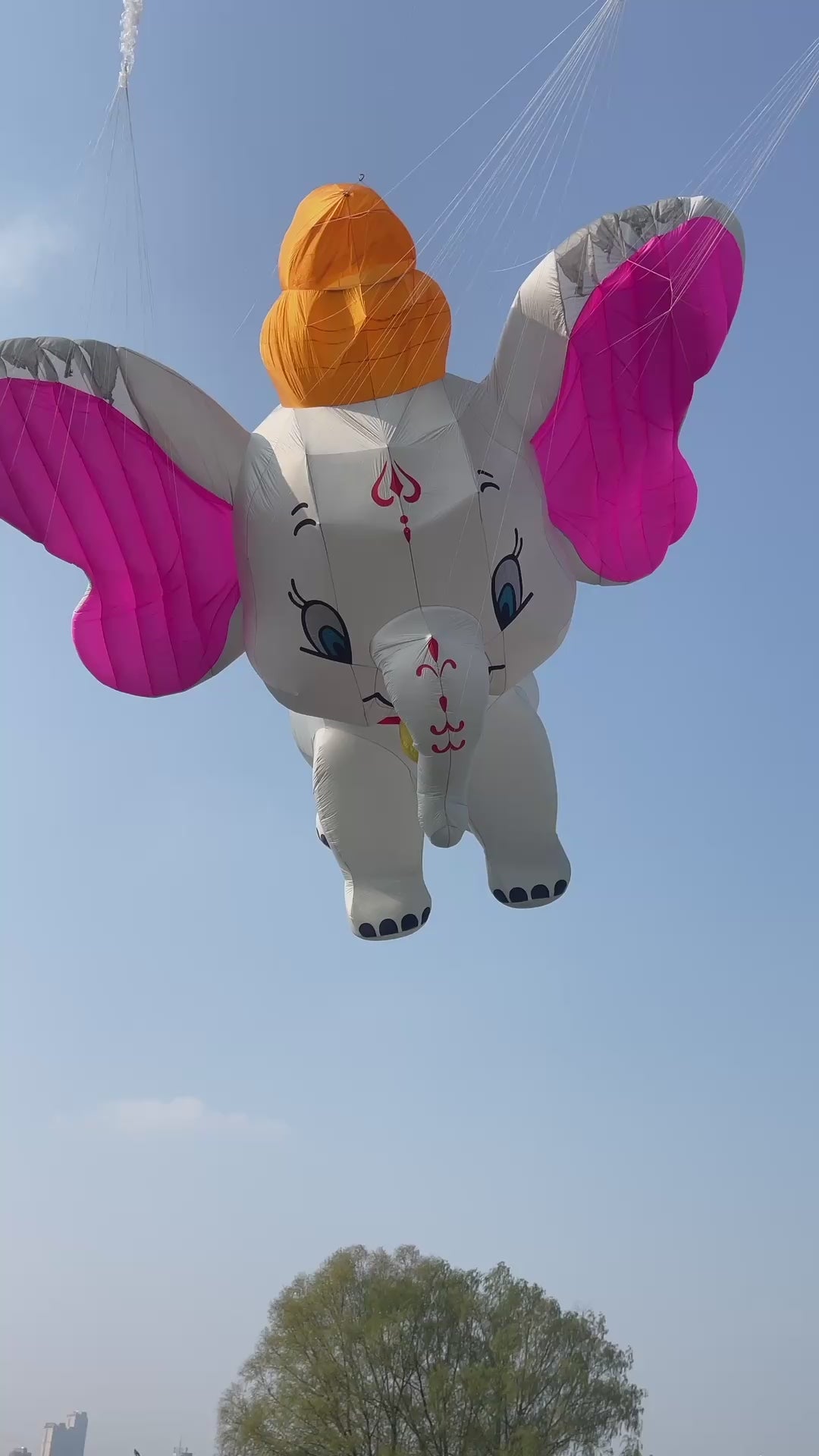 elephant 10m