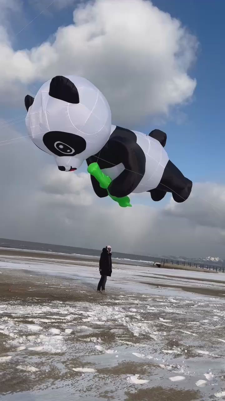 panda