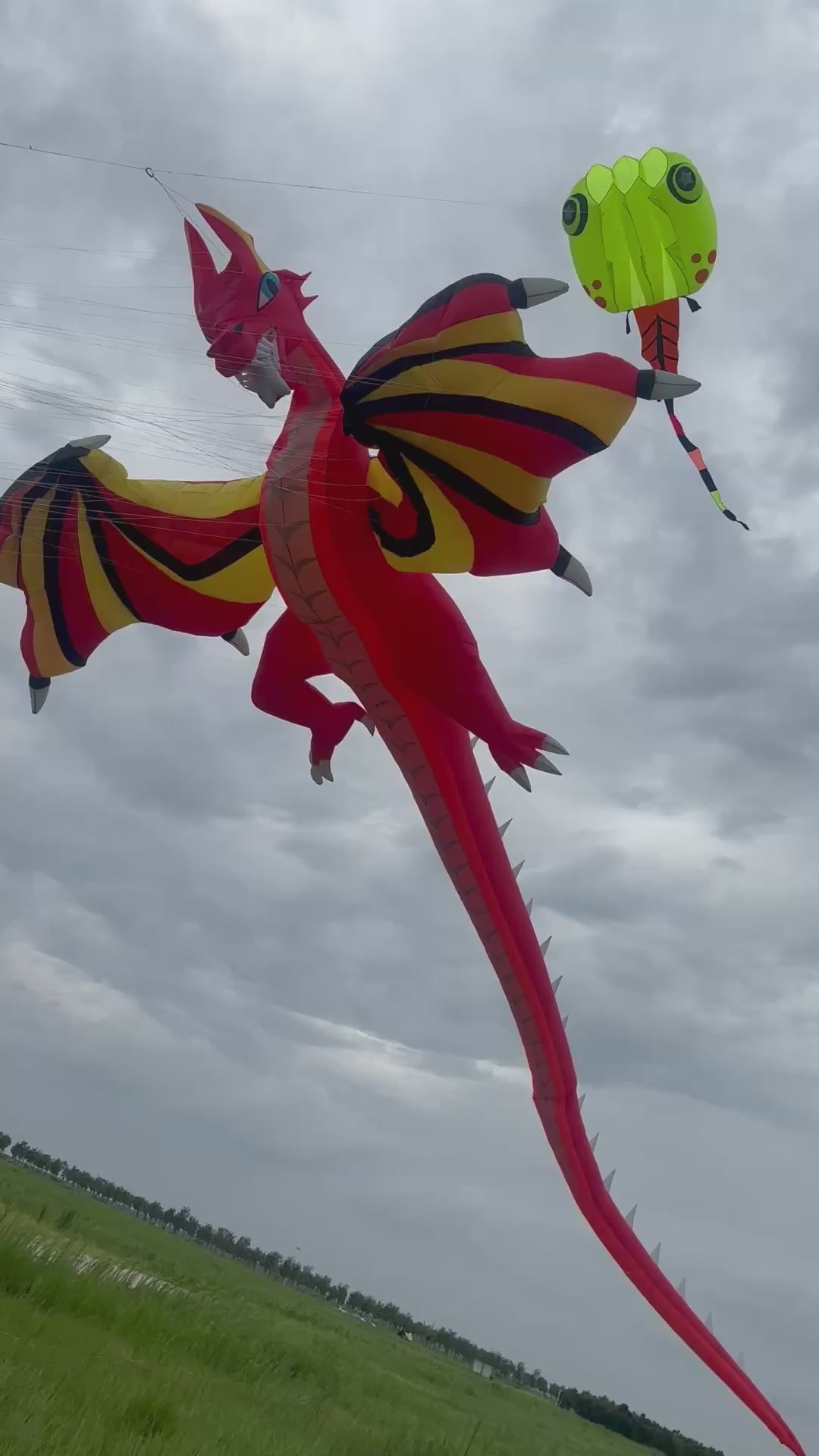 Pterosaur 16m
